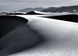Monochrome