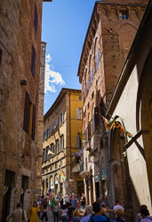Siena